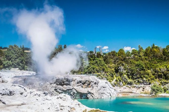 Rotorua Full Day Private Tour From Auckland - Mud Pools and Geyser