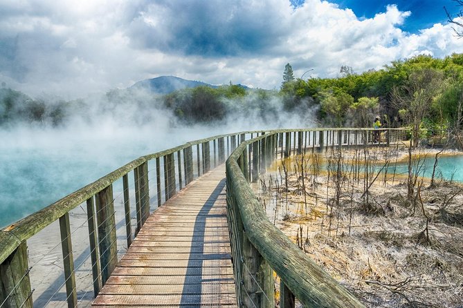 Rotorua Full Day Private Tour From Auckland - Kiwi Conservation Center