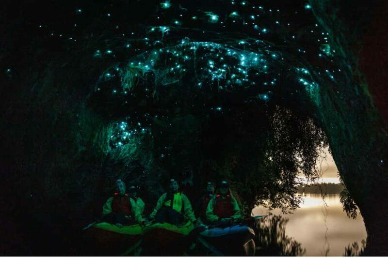 Rotorua: Glow Worm Adventure Kayak - Who Will Love This Tour?