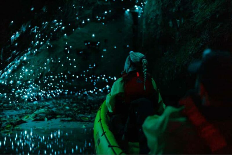 Rotorua: Glow Worm Adventure Kayak - The Bottom Line: Who Should Sign Up?