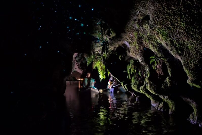 Rotorua: Glow Worm Kayak Tour - Key Points