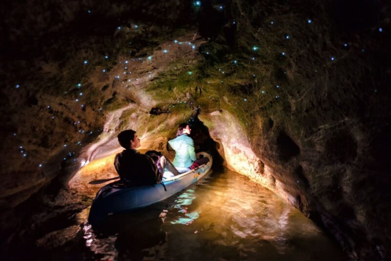 Rotorua: Glow Worm Kayak Tour - Tour Itinerary