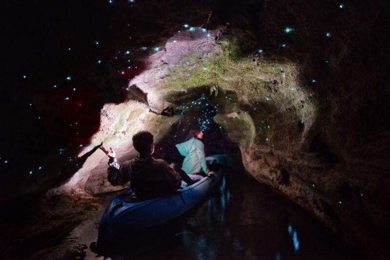 Rotorua: Glow Worm Kayak Tour - Customer Reviews