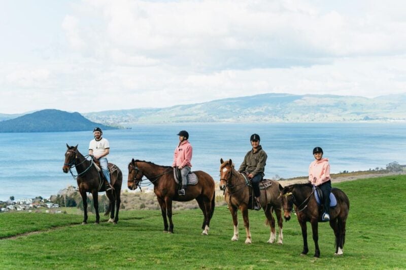 Rotorua: Guided Horseback Riding Day Trip on Mt. Ngongotaha - Key Points