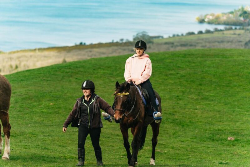 Rotorua: Guided Horseback Riding Day Trip on Mt. Ngongotaha - Customer Feedback and Ratings