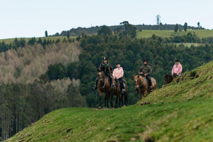 Rotorua: Guided Horseback Riding Day Trip on Mt. Ngongotaha - Safety and Guidance Provided