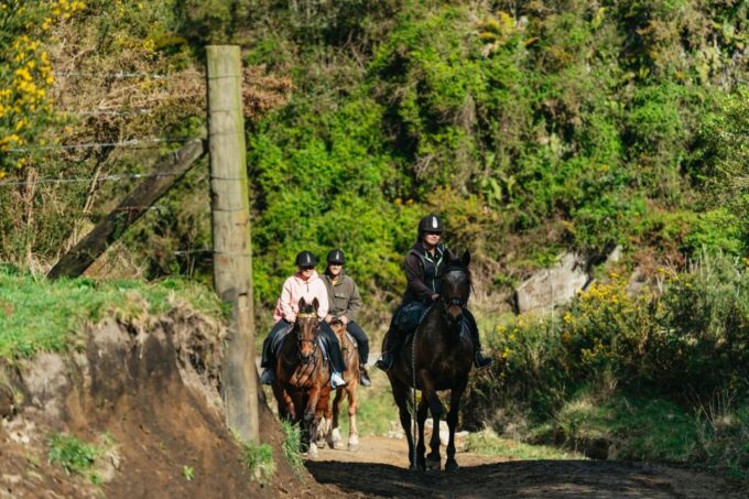 Rotorua: Guided Horseback Riding Day Trip on Mt. Ngongotaha - Meeting Point and Transportation