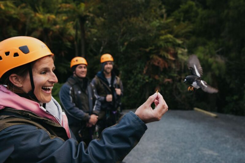 Rotorua: Guided Zipline Adventure Tour With Photos - Key Points