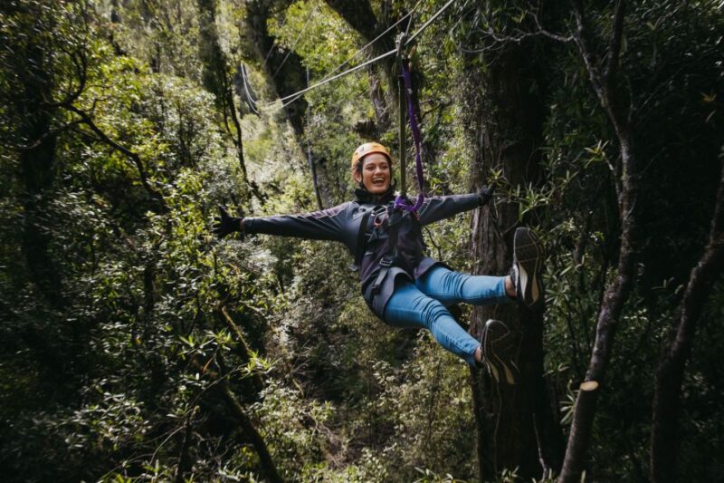 Rotorua: Guided Zipline Adventure Tour With Photos - Conservation Efforts