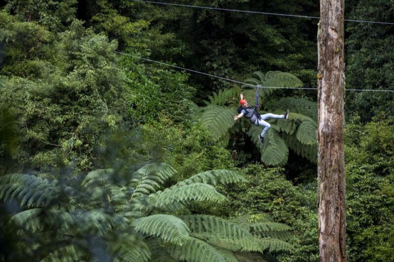 Rotorua: Guided Zipline Adventure Tour With Photos - Tour Inclusions