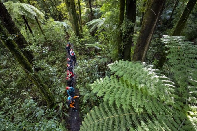 Rotorua: Guided Zipline Adventure Tour With Photos - Customer Feedback