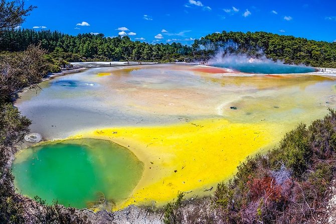 Rotorua Highlights Small Group Tour Including Wai-O-Tapu From Auckland - Tour Recommendations