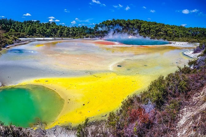 Rotorua Highlights Small Group Tour With Optional Extra Activities From Auckland - Customer Experience and Reviews