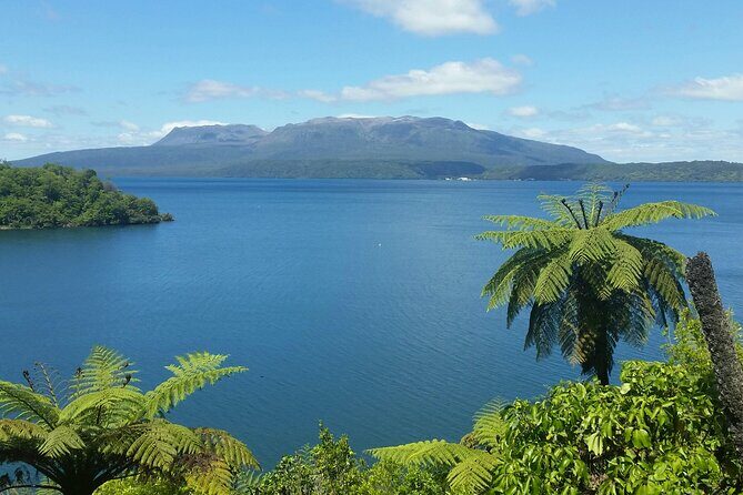 Rotorua Highlights Tour - An In-Depth Look at the Rotorua Highlights Tour