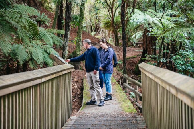 Rotorua: Off The Beaten Track Geothermal Day Tour - Thermal Valley Pools