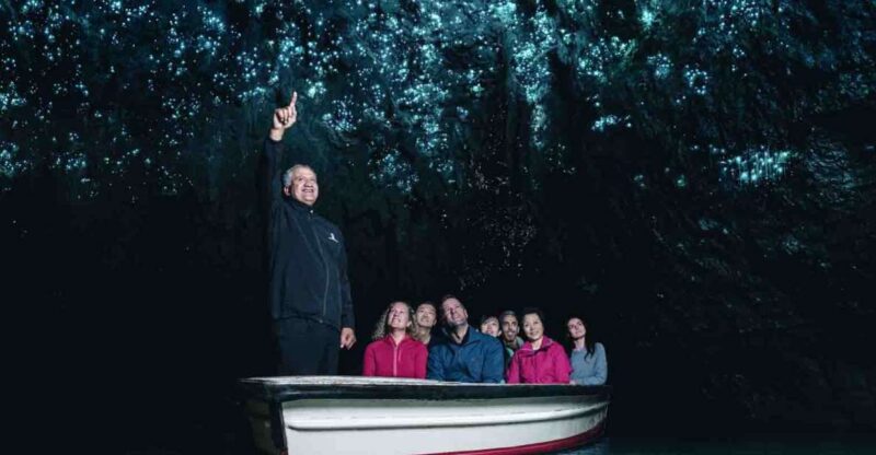 Rotorua: One-Way Trip to Auckland via Hobbiton & Waitomo - Itinerary Details