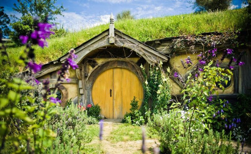 Rotorua: One-Way Trip to Auckland via Hobbiton & Waitomo - Recap
