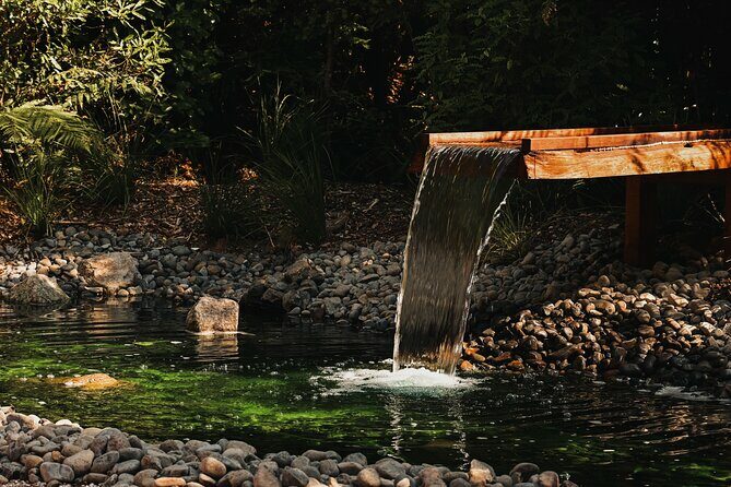 Rotorua Private Sauna Experience - Contrast Therapy and Cold Plunge Tubs
