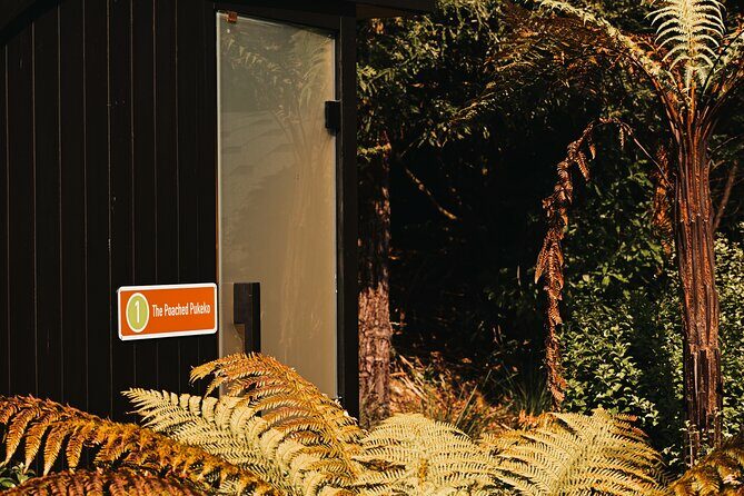 Rotorua Private Sauna Experience - Additional Amenities and Comfort