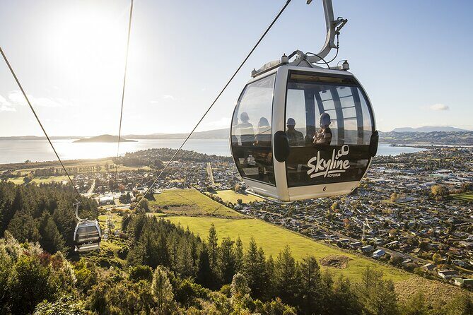 Rotorua Private Tour from Tauranga (up to 11 people) - Exploring the Itinerary in Detail