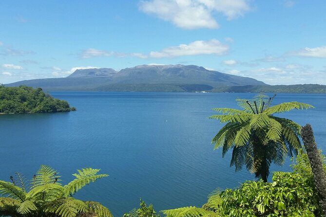 Rotorua Private Tour from Tauranga (up to 11 people) - The Sum Up
