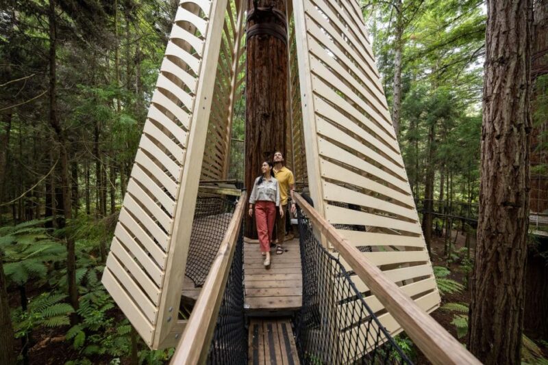 Rotorua: Redwoods Altitude & Day/Night Treewalk Combo - Key Points