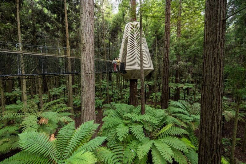 Rotorua: Redwoods Altitude & Day/Night Treewalk Combo - Important Details