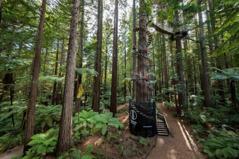 Rotorua: Redwoods Altitude & Day/Night Treewalk Combo - Age and Health Requirements