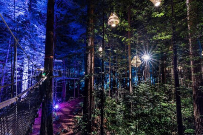 Rotorua: Redwoods Altitude & Day/Night Treewalk Combo - Clothing and Preparation