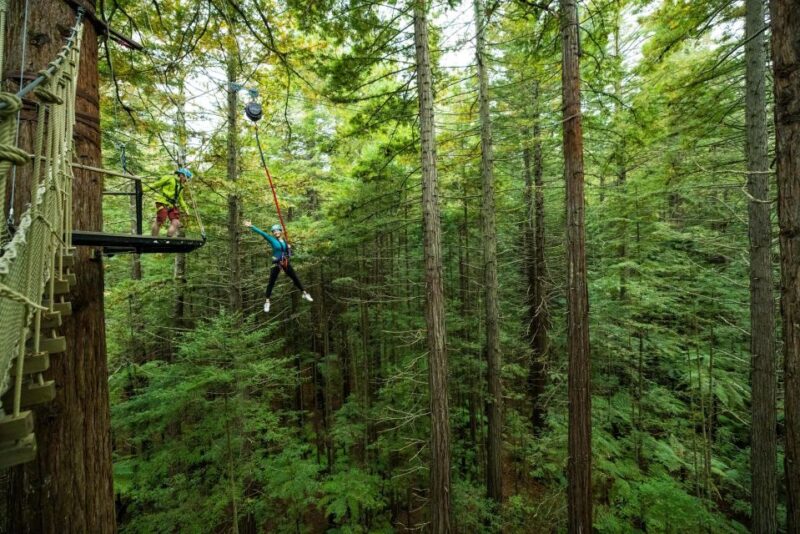Rotorua: Redwoods Altitude High Ropes Adventure - Highlights of the Experience