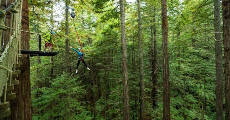 Rotorua: Redwoods Altitude High Ropes Adventure - Participant Requirements