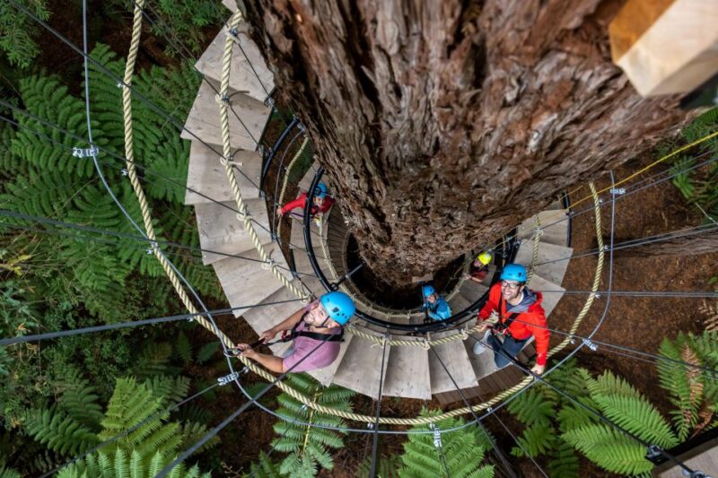 Rotorua: Redwoods Altitude High Ropes Adventure - Customer Feedback