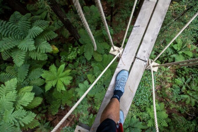 Rotorua: Redwoods Altitude High Ropes Adventure - Recap