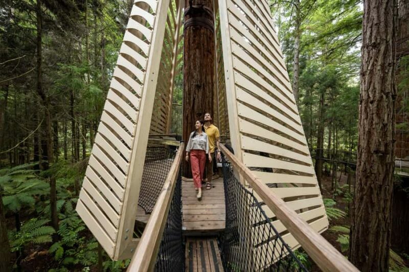 Rotorua: Redwoods Altitude, Nighttime Fast Pass, & Treewalk - Starting Point and Logistics