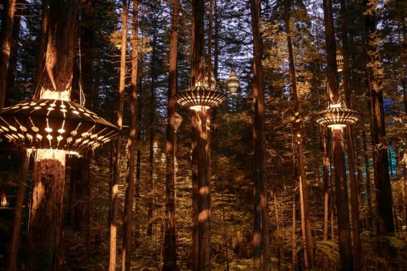 Rotorua: Redwoods Altitude, Nighttime Fast Pass, & Treewalk - The Nighttime Treewalk: A Magical Wonder
