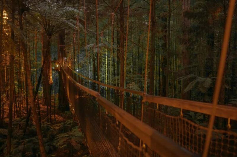 Rotorua: Redwoods Altitude, Nighttime Fast Pass, & Treewalk - Practical Tips to Maximize Your Experience