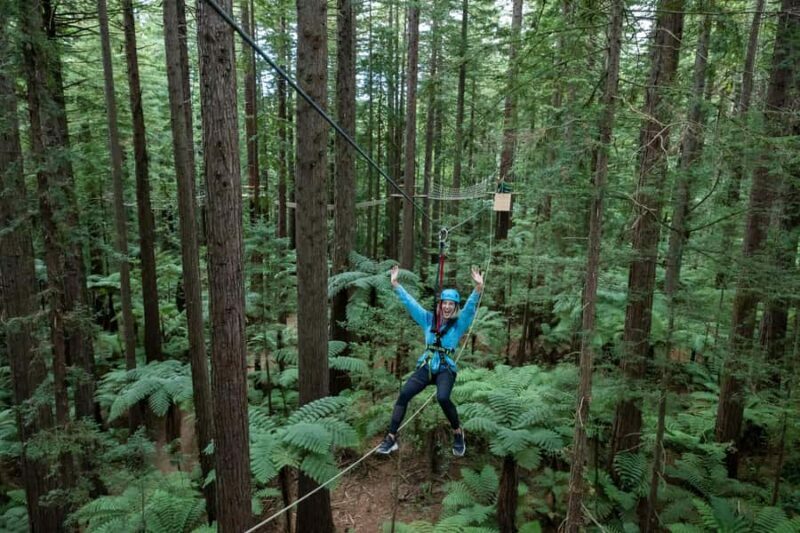 Rotorua: Redwoods Altitude, Nighttime Fast Pass, & Treewalk - What We Liked Most