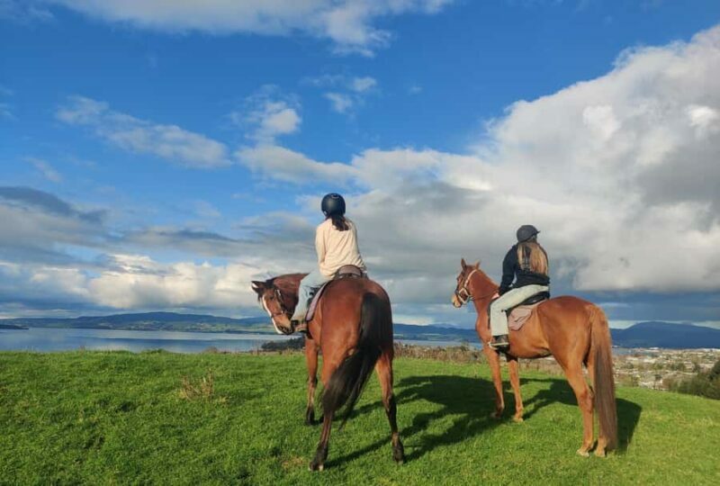 Rotorua: Scenic Horse Trek - What You Can Expect from the Rotorua Scenic Horse Trek