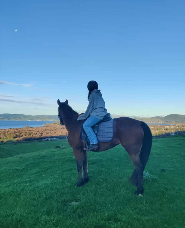 Rotorua: Scenic Horse Trek - Authentic Experiences in Every Step
