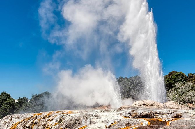 Rotorua Small Group Tour Incl Te Puia, Buffet Lunch & Concert - Meeting and Pickup