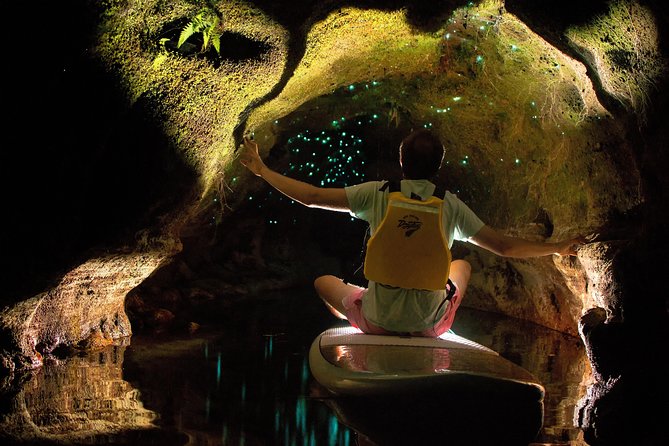 Rotorua Stand-Up Paddle Board Glow Worm Tour - Glow Worm Viewing