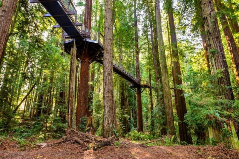 Rotorua & Taupo:Wai-O-Tapu, Redwood Walk & Hukka falls Tour - An Allure of Authenticity and Comfort