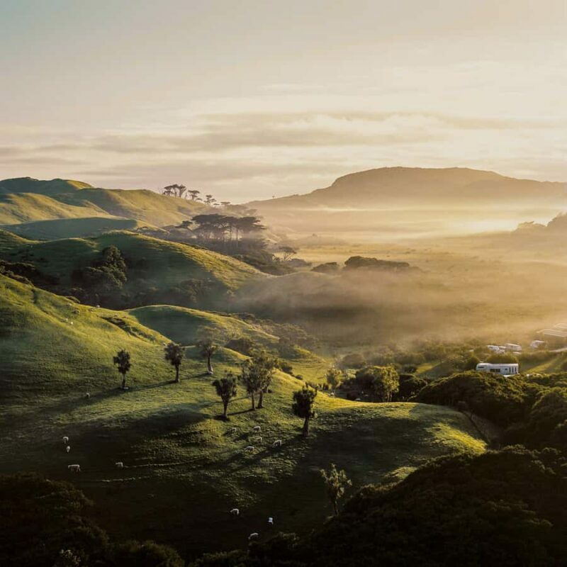 Rotorua & Taupo:Wai-O-Tapu, Redwood Walk & Hukka falls Tour - Redwood Forest Walk: A Breath of Fresh Air
