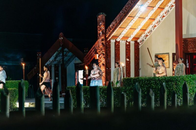 Rotorua: Te Puia Geyser Night Walking Tour - Activity Highlights