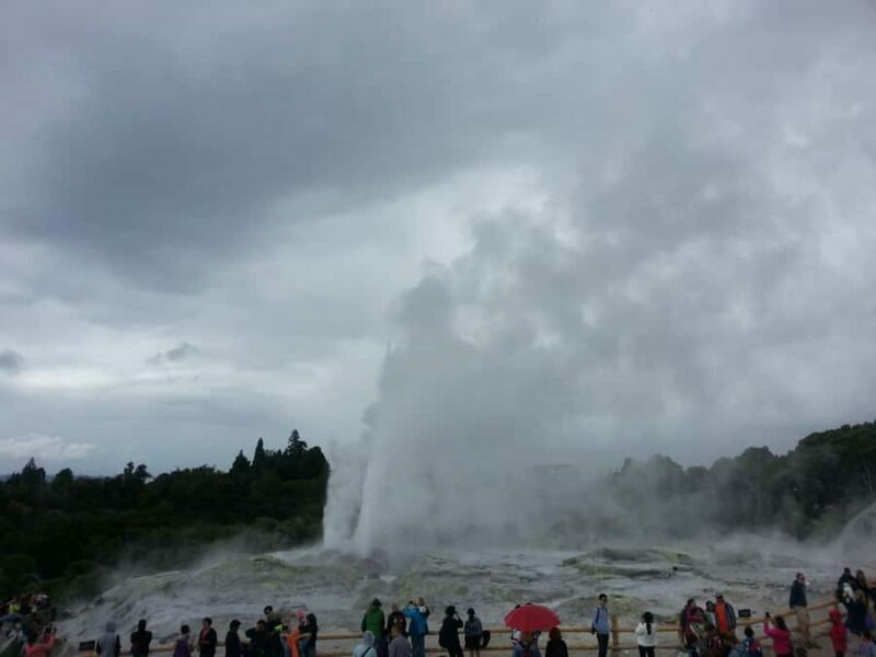 Rotorua: Te Puia Maori Village and Rejuvenation Tour - Authentic Feedback from Past Travelers