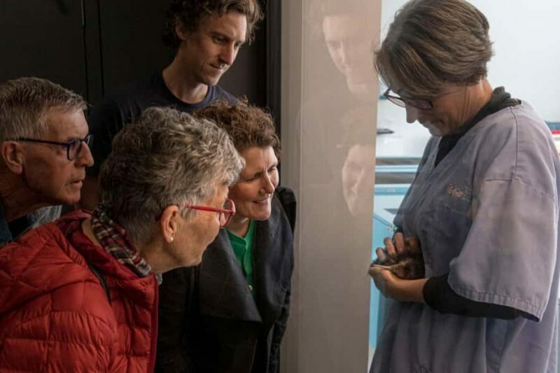 Rotorua: The National Kiwi Hatchery Kiwi Encounter Tour - An In-Depth Look at the Kiwi Encounter Tour