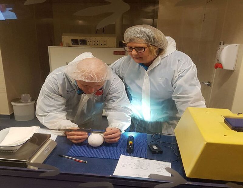 Rotorua: The National Kiwi Hatchery Tour - Booking and Pricing Information