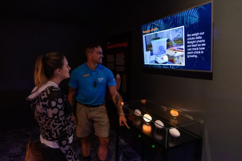 Rotorua: The National Kiwi Hatchery Tour - Kiwi Hatching and Conservation Efforts