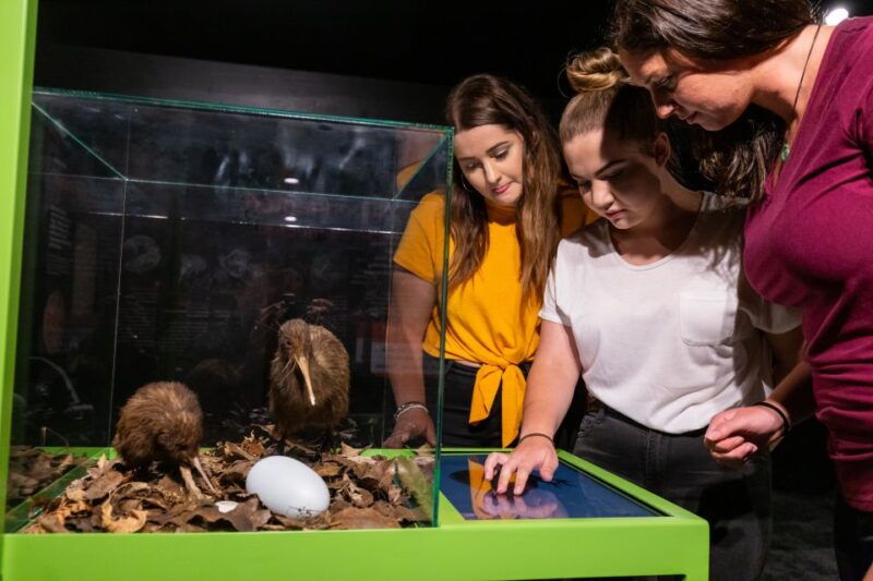 Rotorua: The National Kiwi Hatchery Tour - Interactive Activities at the Hatchery