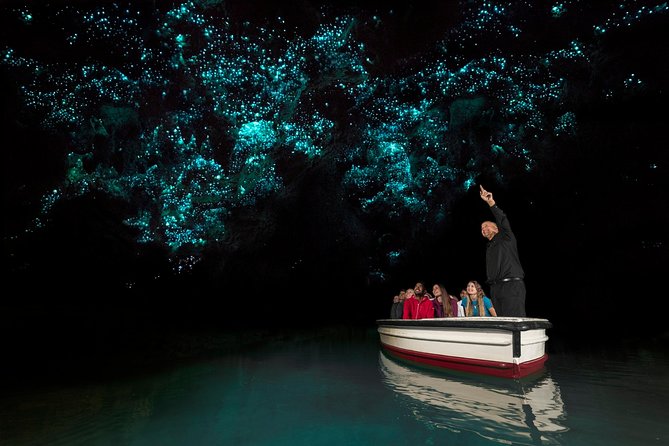 Rotorua to Auckland Afternoon Transfer With Waitomo Glow Worms - Transportation Details